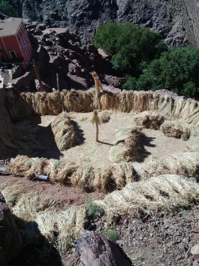 Auberge Restaurant Les Coquelicots Ait Tamlil Kültér fotó