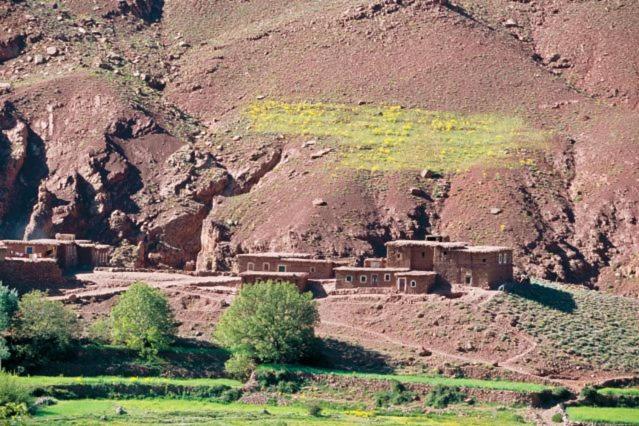 Auberge Restaurant Les Coquelicots Ait Tamlil Kültér fotó